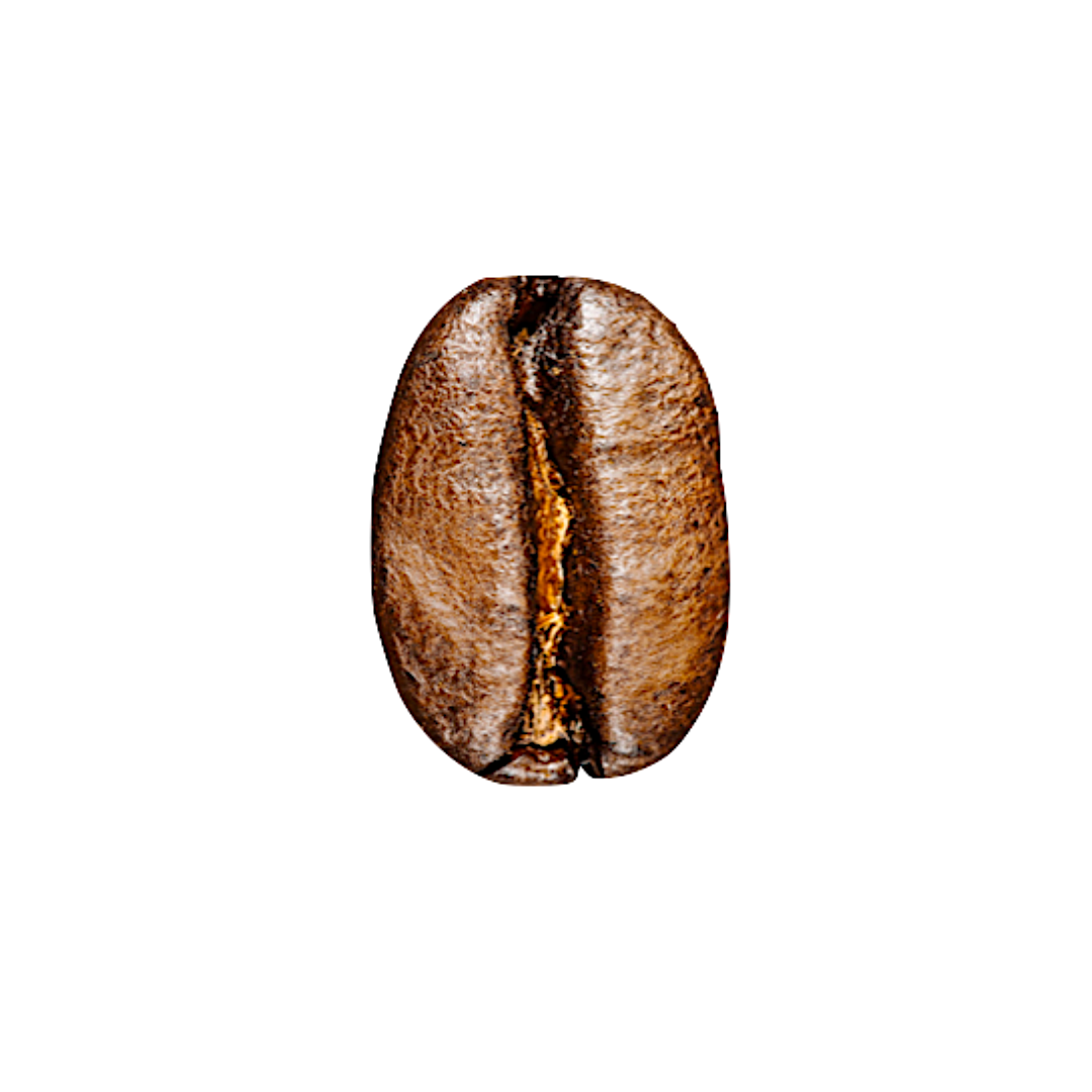 Café Oaxaca Pluma Hidalgo/500 grs. - Charlas Café®