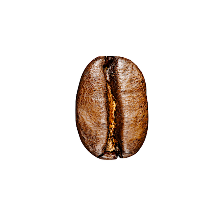 Café Oaxaca Pluma Hidalgo/500 grs. - Charlas Café®