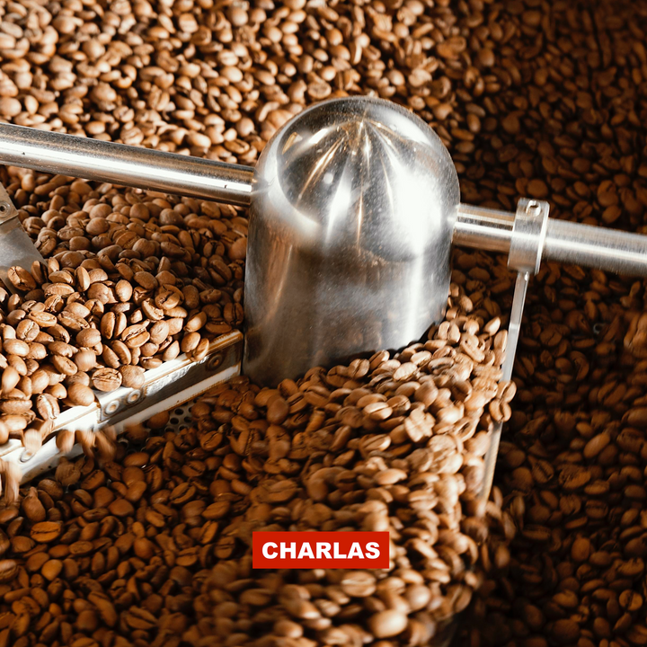Café Oaxaca Pluma Hidalgo/500 grs. - Charlas Café®